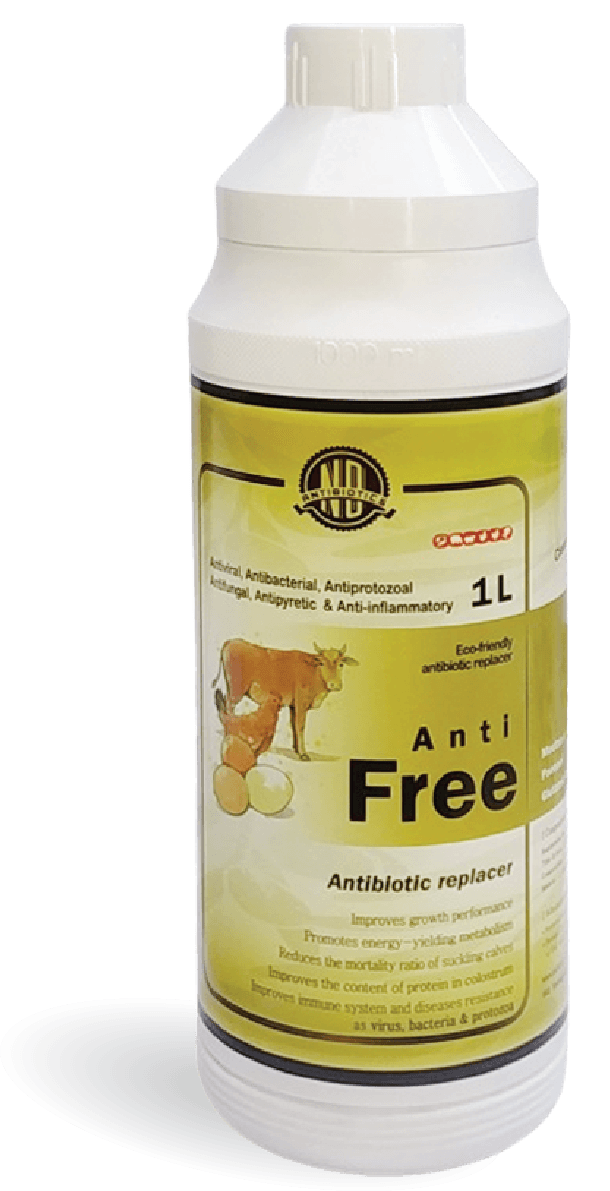 Anti Free