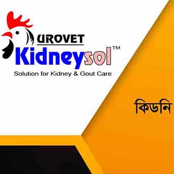 Kidneysol