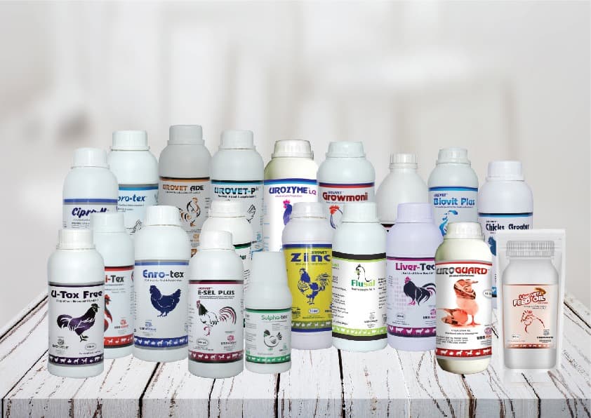 Powder Products